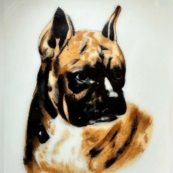 Vintage Brinn’s Made In Japan Boxer Bulldog Decorative Plate - Picture 4 of 7